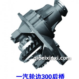 一汽轮边300后桥差速器