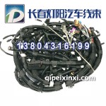 長春J6線束廠家