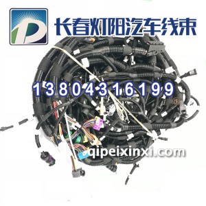 一汽J6线束