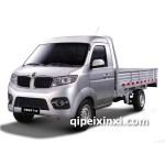 金杯小海獅T30全車配件