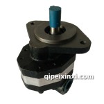 CBFC 40 50側(cè)出齒輪泵