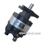P5100TX側(cè)翻專用齒輪泵