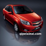 樂風(fēng)全車配件