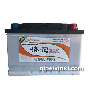6-QTPE-70(700)骆驼蓄电池