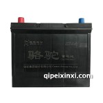 6-QWLZ-60(540)駱駝蓄電池
