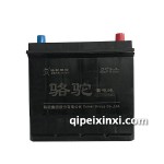 55D23-6-QW-60(480)駱駝蓄電池