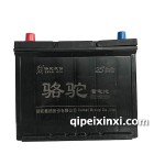80D26-6-QW-70(590)駱駝蓄電池