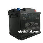 54017-6-QW-40(350)駱駝蓄電池