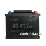 L2-350-6-QW-60(530)駱駝蓄電池