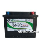 VRL2-60-6-QTF-60(660)駱駝蓄電池