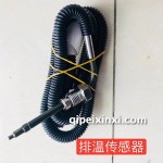 排溫傳感器