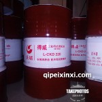 長城得威CKD220-170kg