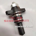 CB2.2柱塞