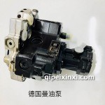 德國(guó)曼油泵