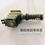 衡陽電控單體泵