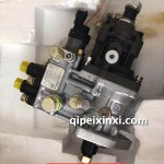 重慶自主電控泵