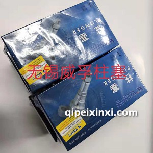 无锡威孚柱塞