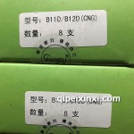 B11D-B12D(CNG)航力氣門