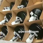 真空助力器總成（新桑塔納，新捷達(dá)）