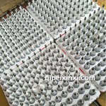 速騰-邁騰-火花塞