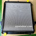 91119010-D539E虎V-J6F中冷器總成