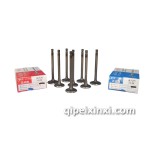 慶鈴進(jìn)排汽門(mén)天皇100P