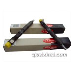 全順噴油器總成(德爾福牌)