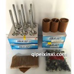 濰柴發(fā)動(dòng)系統(tǒng)配件