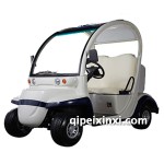 高爾夫球車蓄電池