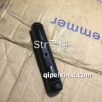 歐曼_豪沃str弓軸