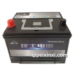 6-QW-50(500)R理士電池