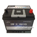 6-QW-60(550)XL理士電池