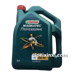 磁護(hù)專(zhuān)享 5W-40