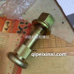 領航版后輪螺絲