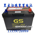 6-QW-68(600)統(tǒng)一電瓶