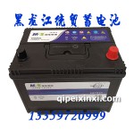 6-QW-60(500)XL理士蓄電池