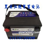 理士6-QW-60(550)R電瓶