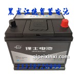 6-QTPA-60(610)理士啟停電瓶