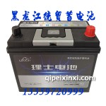 6-QW-45(450)L理士電瓶