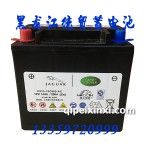 理士高端汽車電瓶CX23-10C655-AC
