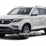 雷斯特雙龍配件