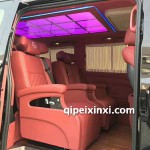 威霆電動(dòng)中門(mén)