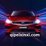 繽瑞配件