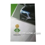 歐諾拉LEDH1車燈