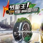 汽車節(jié)能王輪胎