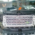 滿天星中網(wǎng)