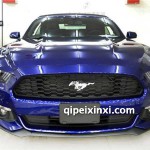 野馬隱形車衣