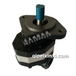 CBFC 40 50侧出液压油泵