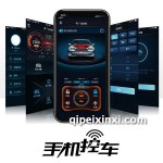 大众汽车远程预热