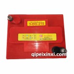 齊炬3-DG-210電動車觀光車電瓶